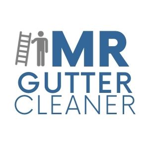 Mr Gutter Cleaner Grand Rapids